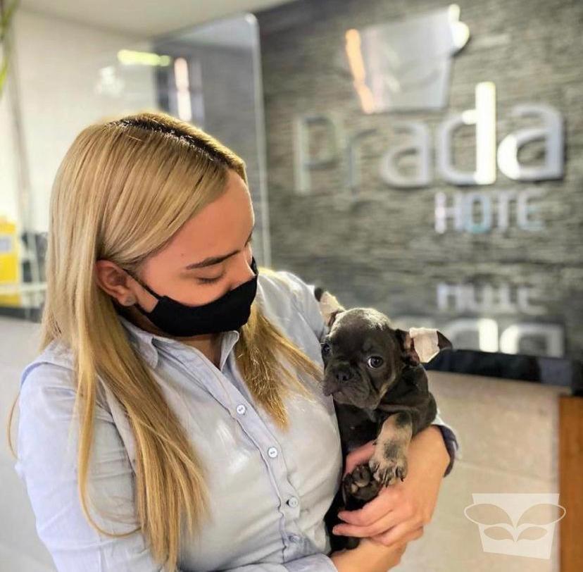 Hotel Prada Sas Бельо Экстерьер фото